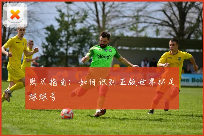 购买指南：如何识别正版世界杯足球球号