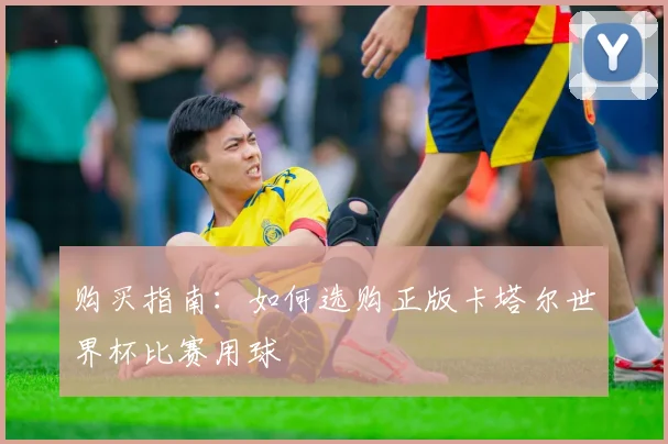 购买指南：如何选购正版卡塔尔世界杯比赛用球