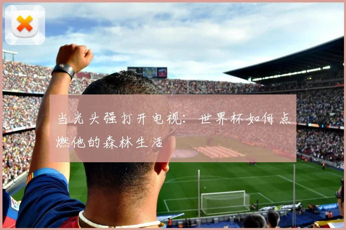 当光头强打开电视：世界杯如何点燃他的森林生活
