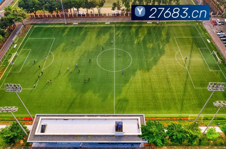 多媒体互动体验